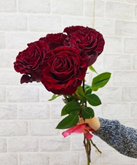 Роза бордовая Эквадор 60 см